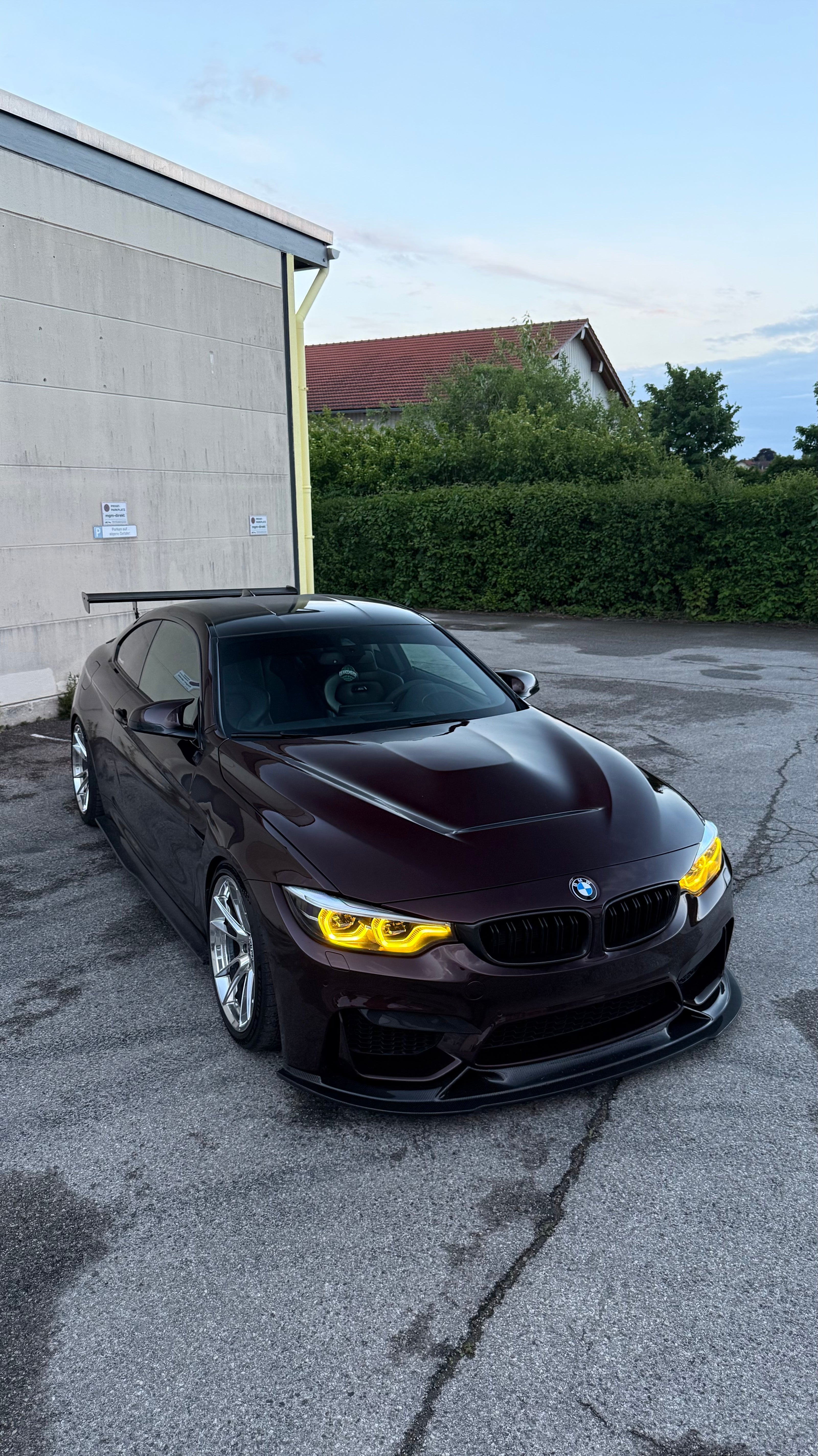 PPG DRL Farbwechsel-Modul für BMW 4er/ M4/ M3 F-Reihe LCI